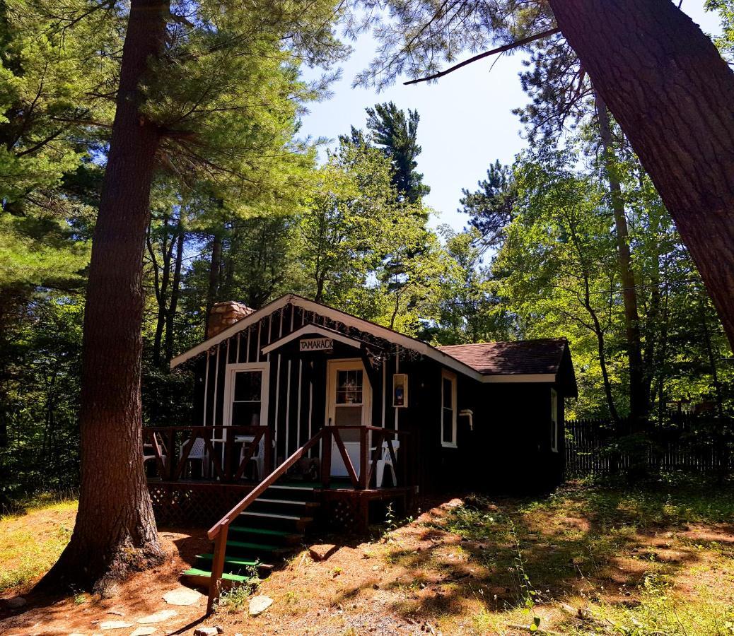 The Wilderness Inn: Chalets Wilmington Exterior photo